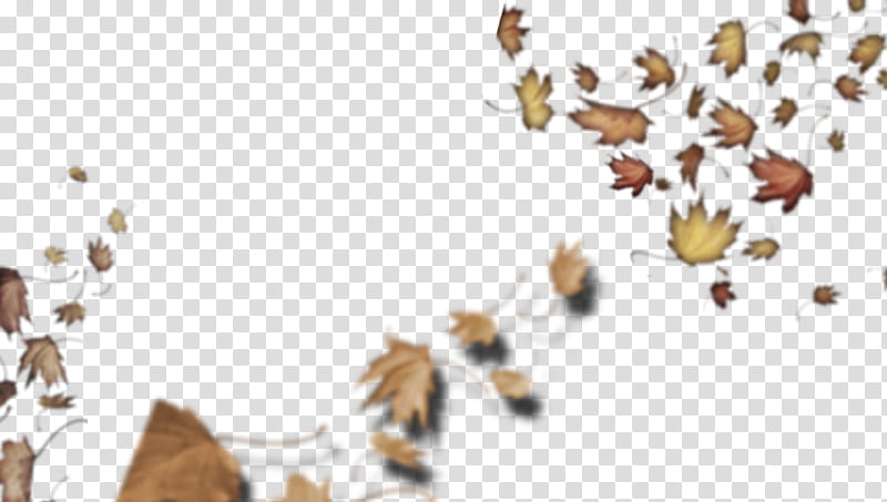 Leaves, Loose Leaves, Honey Bee, Loose Leaves By Lesley Clargo, Insect, Book, Leaf, Flower transparent background PNG clipart