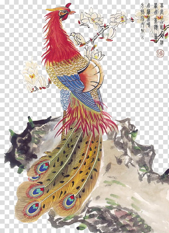 Phoenix Bird, Fenghuang, Fenghuang County, Chinese Mythology, Chinese Dragon, Peafowl, Chinese Calligraphy, Rooster transparent background PNG clipart