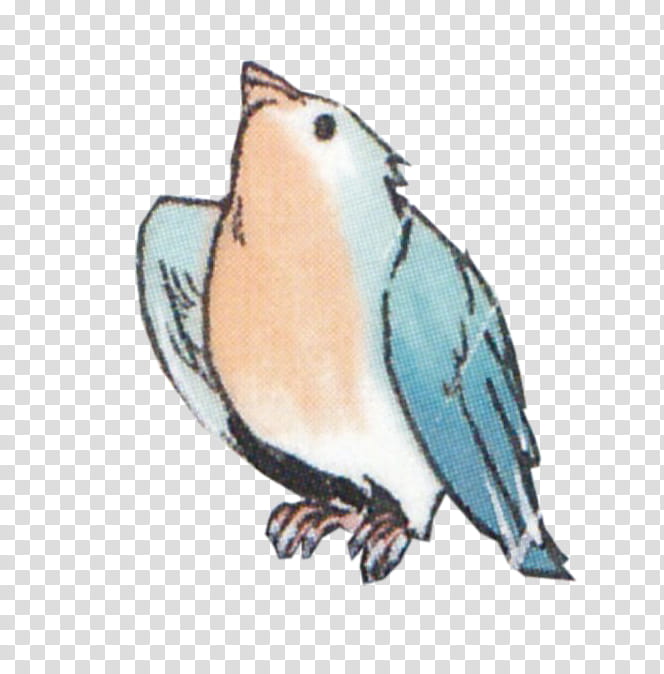 Blue Bird xp, brown and blue bird transparent background PNG clipart