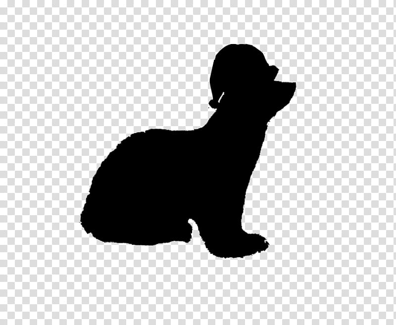 Dog And Cat, Whiskers, Puppy, Bear, Silhouette, Breed, Black M, Sporting Group transparent background PNG clipart