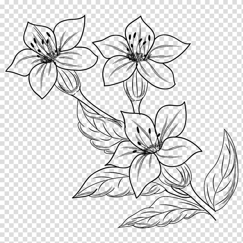 Spring flowers brushes , flowers ssketch transparent background PNG ...