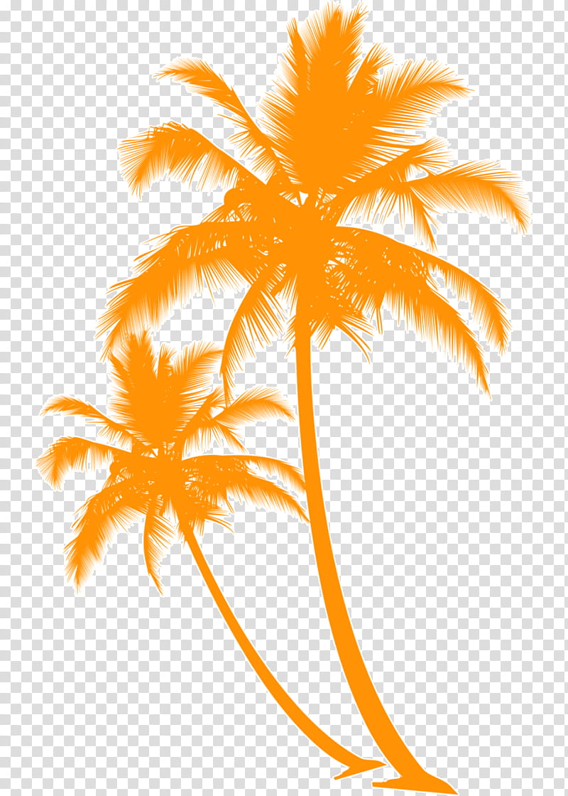 Palm Tree Silhouette Sunset Beach North Shore Beach Hut Sea
