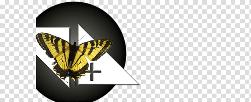 Butterfly Logo, Insect, Moths And Butterflies, Pollinator, Papilio Machaon, Flag transparent background PNG clipart