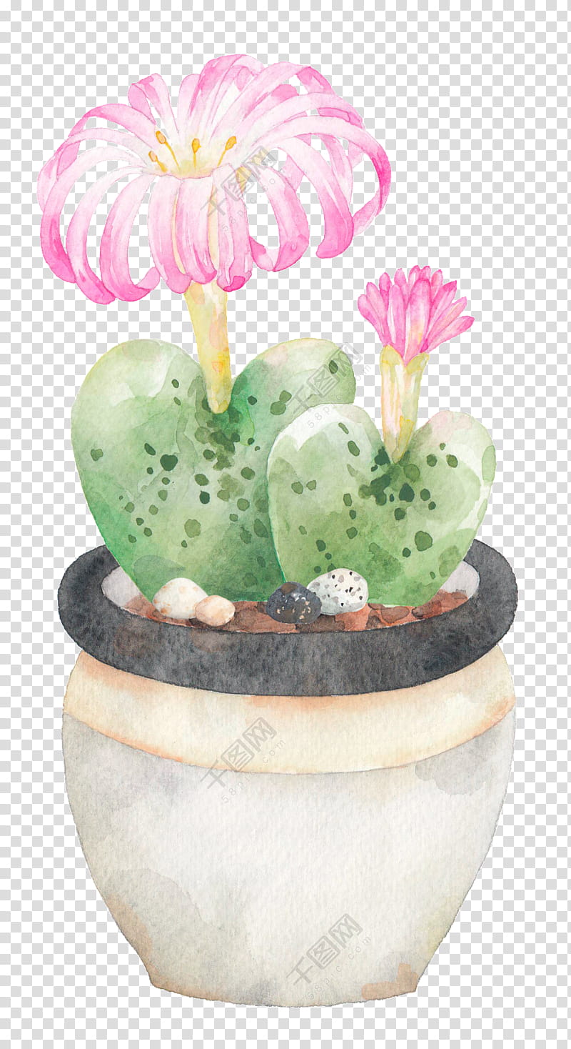 Watercolor Flower, Painting, Watercolor Painting, Plants, Architect, Cactus, Flowerpot, Caryophyllales transparent background PNG clipart