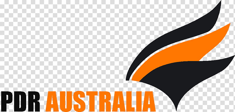 Orange, Logo, Paintless Dent Repair, Australia, Computer, Proprietary Company, Text, Line, Wing transparent background PNG clipart