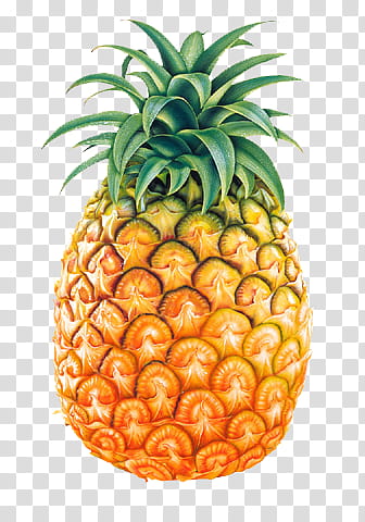 Resources ,  ananas icon transparent background PNG clipart