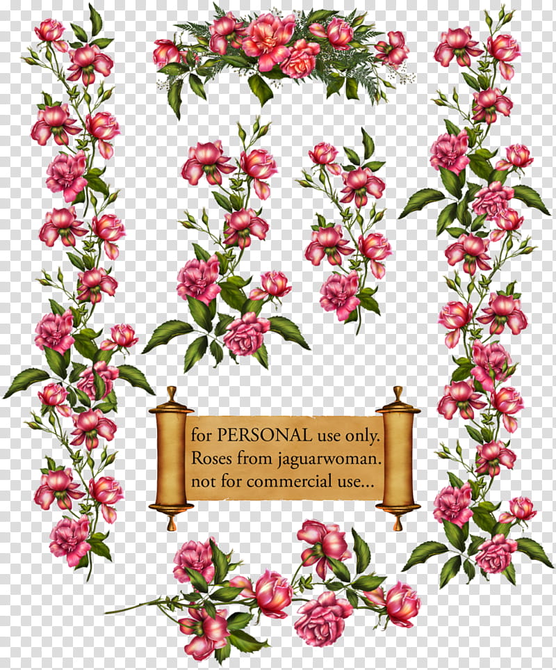 Flowers, Drawing, Ramblerrose, Vine, Damask Rose, Tea Rose, Cut Flowers, Plant transparent background PNG clipart