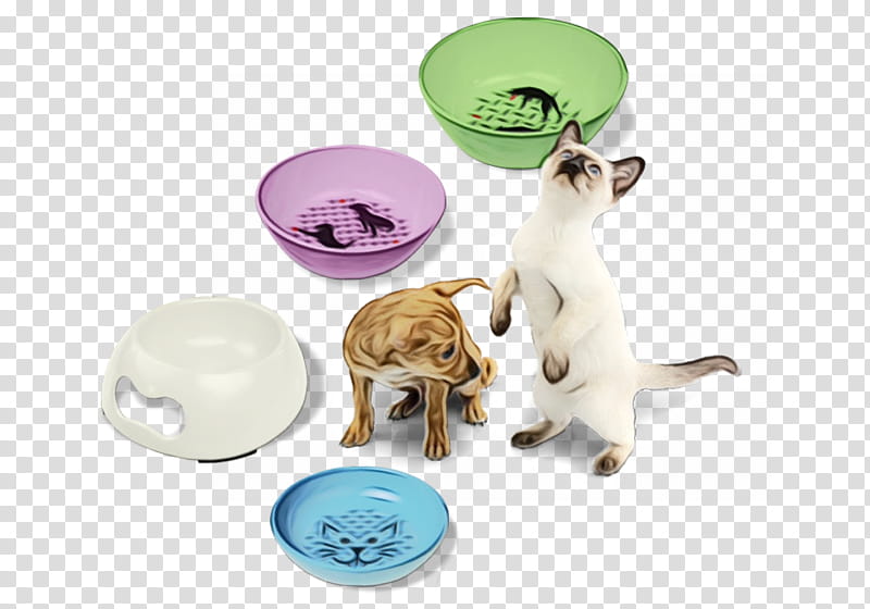 Dog And Cat, Cat Food, Pet, Dog Food, Bowl, Dish, Tableware, Tray transparent background PNG clipart