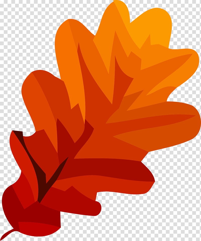 autumn leaf fall leaf yellow leaf, Orange, Red, Tree, Plant, Petal, Flower transparent background PNG clipart