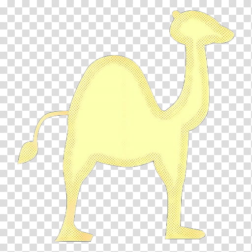 Animal, Camel, Yellow, Camelid, Animal Figure, Tail, Wildlife, Arabian Camel transparent background PNG clipart