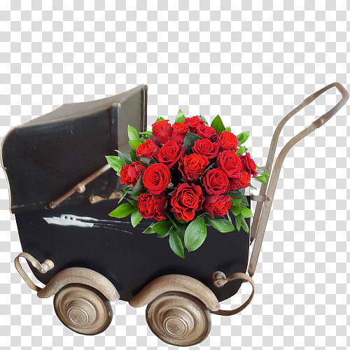 Flowers, Quadracycle, Garden Roses, Car, Toy, Tricycle, Baby Transport, Le Bon Coin transparent background PNG clipart