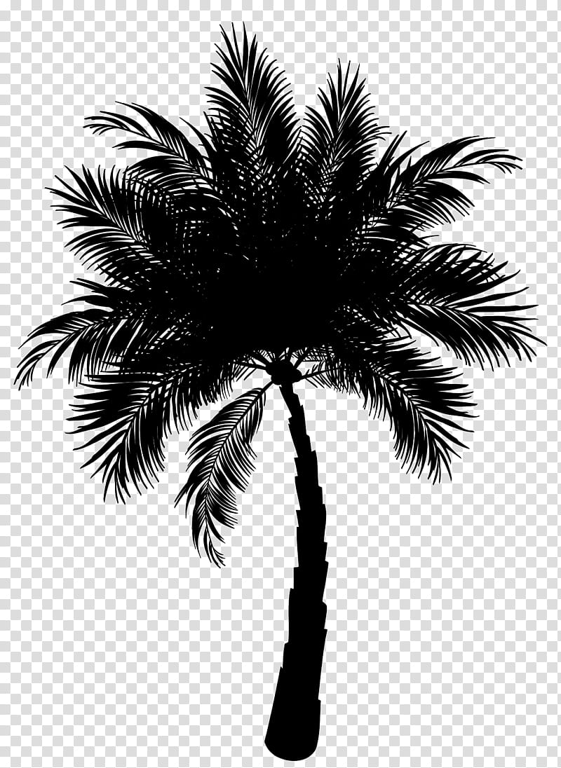 Coconut Tree, Asian Palmyra Palm, Date Palm, Palm Trees, Logo, Borassus, Arecales, Plant transparent background PNG clipart