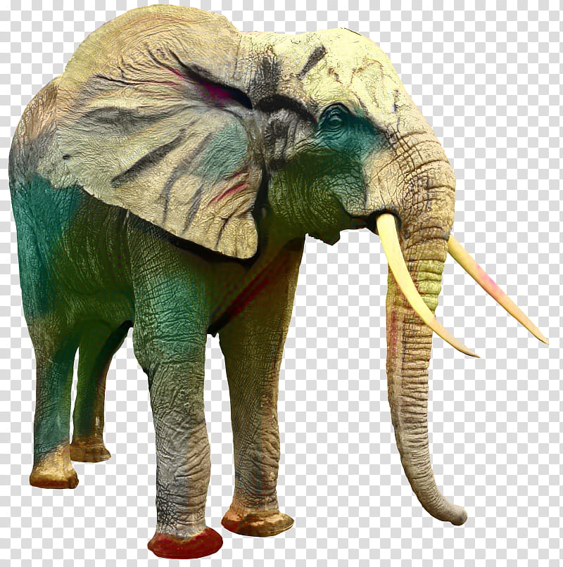 Circus, Elephant, Asian Elephant, African Bush Elephant, Animal, Lion, Endangered Species, African Elephant transparent background PNG clipart