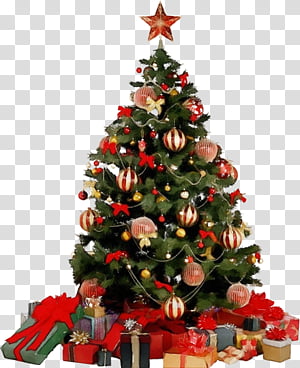 Christmas tree, Watercolor, Paint, Wet Ink, Christmas Decoration, Christmas Ornament, Christmas 
, Colorado Spruce transparent background PNG clipart thumbnail