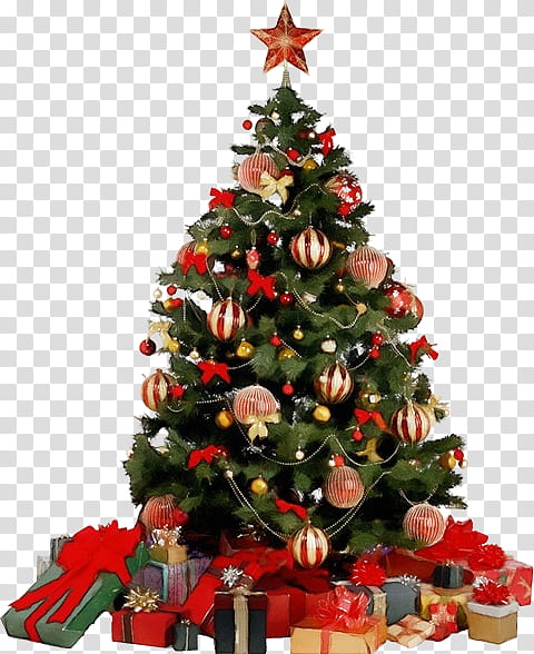 Christmas tree, Watercolor, Paint, Wet Ink, Christmas Decoration, Christmas Ornament, Christmas , Colorado Spruce transparent background PNG clipart Christmas tree, Watercolor, Paint, Wet Ink, Christmas Decoration, Christmas Ornament, Christmas , Colorado Spruce transparent background PNG clipart