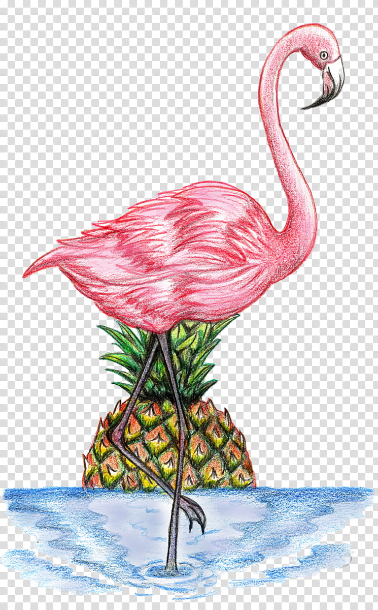 Flamingo, Drawing, How To Draw, Phoenicopterus, Pencil, Sunset, Painting, 2019 transparent background PNG clipart