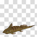 Spore creature Ctenurella female transparent background PNG clipart Spore creature Ctenurella female transparent background PNG clipart