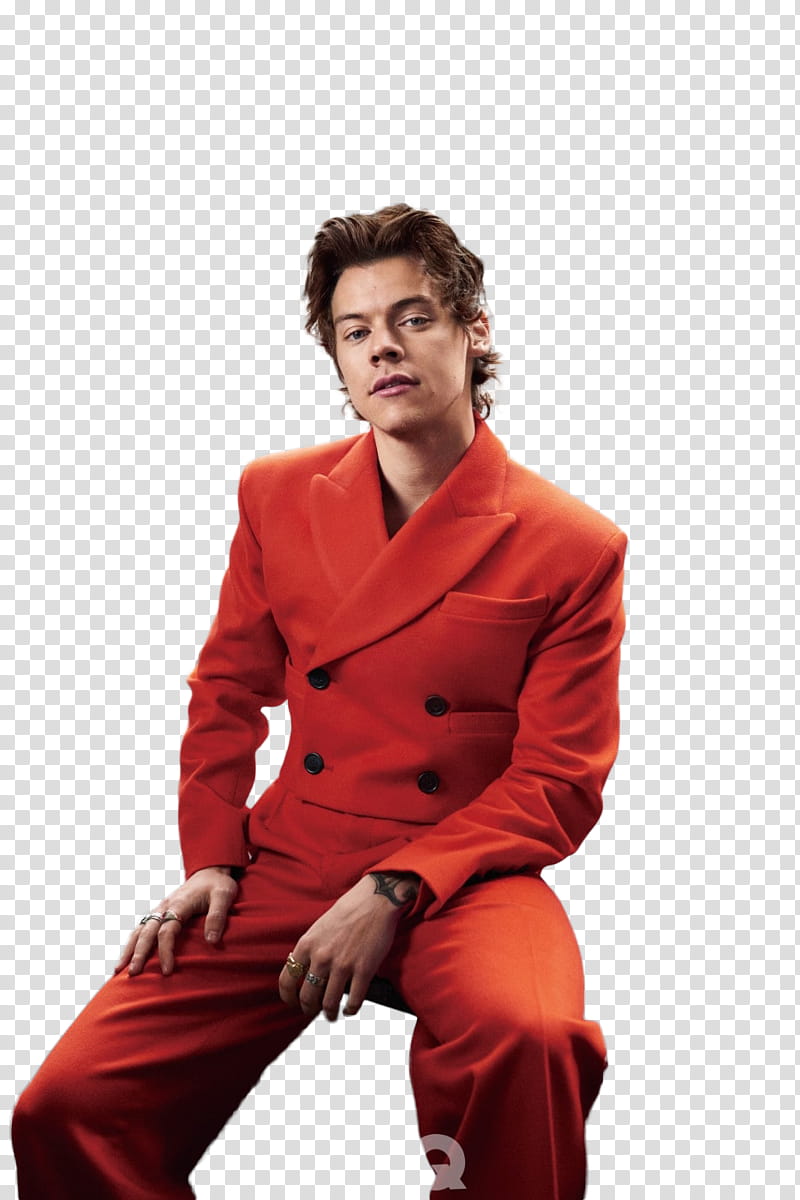 Harry Styles transparent background PNG clipart