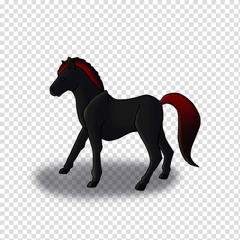 Horse, Mustang, Stallion, Halter, Rein, Silhouette, Snout, Naturism, Yonni Meyer, Mane transparent background PNG clipart