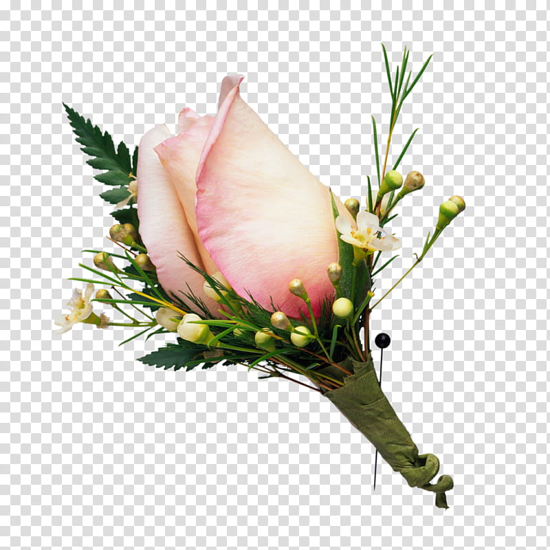 Wedding Flower Bouquet, Corsage, Floristry, Floral Design, Buttonhole, Post Cards, Brisbane Fresh Flowers, Plant transparent background PNG clipart
