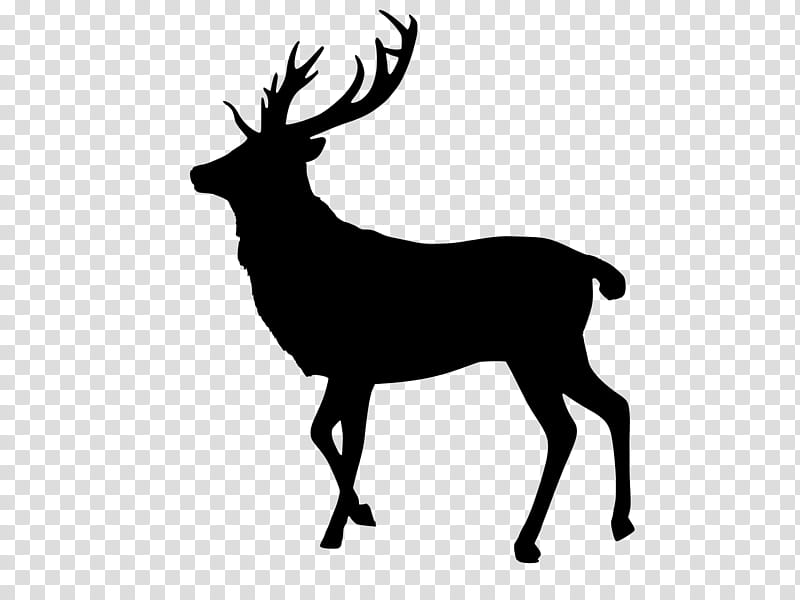 Reindeer, Silhouette, Sunset, Antler, Elk, White, Wildlife, Head transparent background PNG clipart