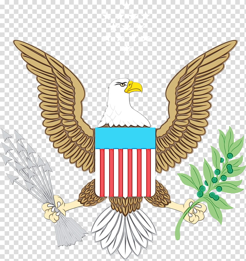 Congress, Bald Eagle, United States, Great Seal Of The United States, Seal Of The President Of The United States, United States Congress, Wing, Bird transparent background PNG clipart