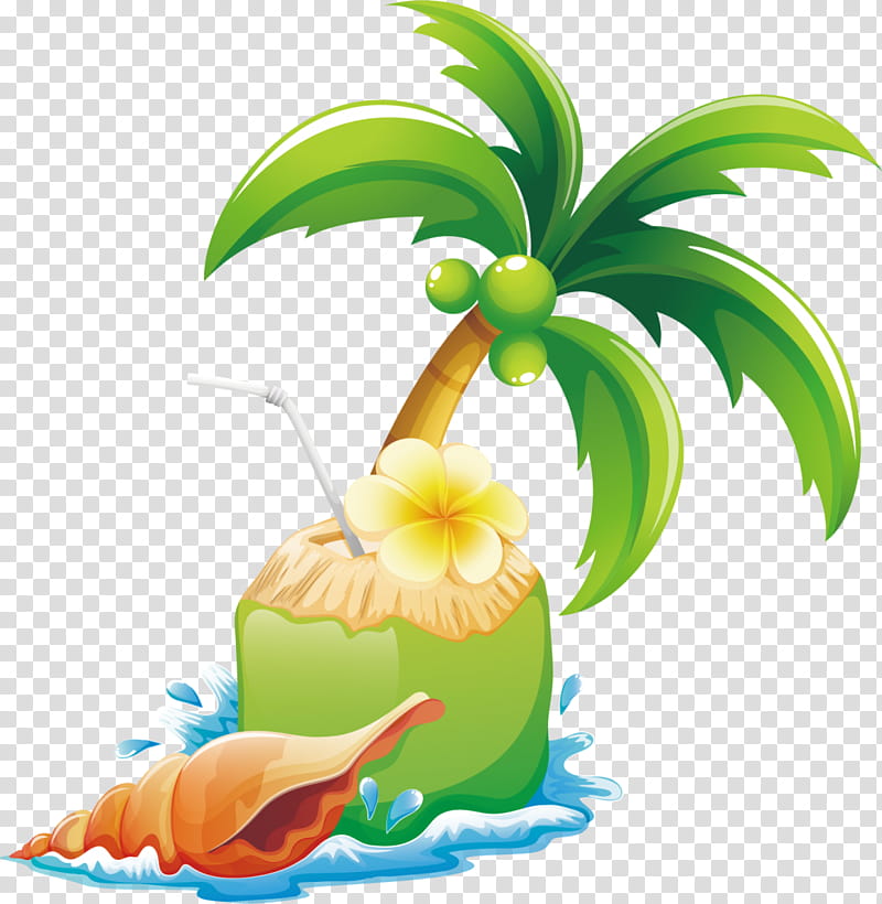 Coconut Tree Drawing, Frames, Beach, Leaf, Plant, Palm Tree, Arecales, Natural Foods transparent background PNG clipart