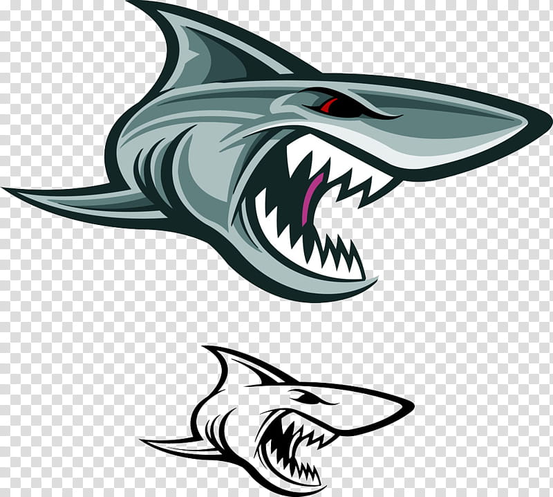 Download Drawing Shark Jaws - Great White Shark Jaw Drawing PNG image for  free. Search more high quality free tran…