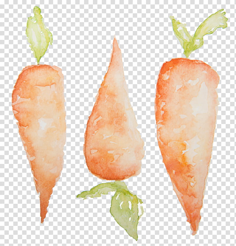Watercolor Plant, Carrot, Watercolor Painting, Drawing, Vegetable, Food, Root Vegetable, Radish transparent background PNG clipart