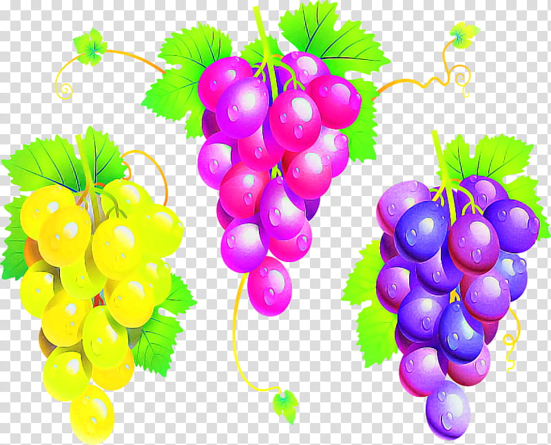 grape seedless fruit natural foods grapevine family plant, Vitis, Grape Leaves, Leaf transparent background PNG clipart