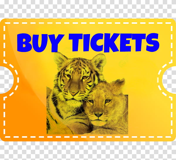 Cat, Lion, Big Cat Rescue, Leopard, Jaguar, Bengal Tiger, Animal, White Tiger transparent background PNG clipart