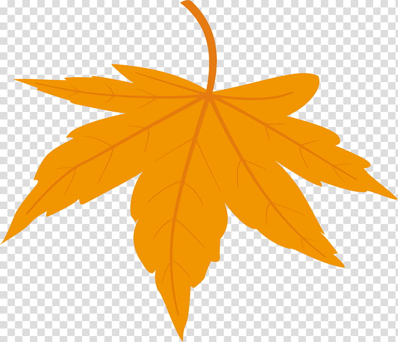 maple leaf fallen leaf dead leaf, Autumn Leaf, Tree, Orange, Yellow, Woody Plant, Sky, Plane transparent background PNG clipart