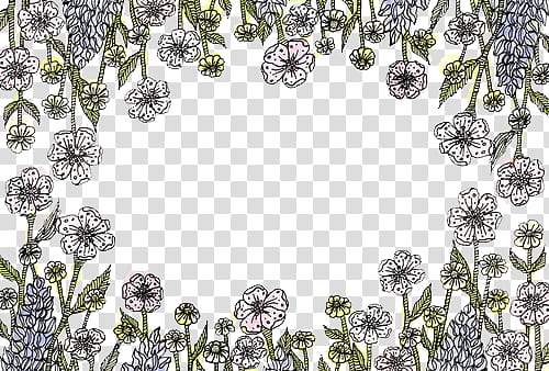 More s, white flowers illustration transparent background PNG clipart