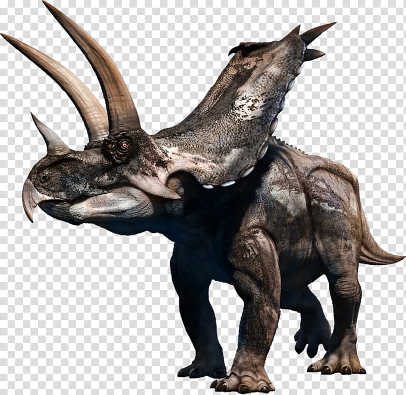 Dinosaur, Agujaceratops, Triceratops, Horned Dinosaurs, Ceratopsians, Alamy, Black Rhinoceros, Animal Figure transparent background PNG clipart