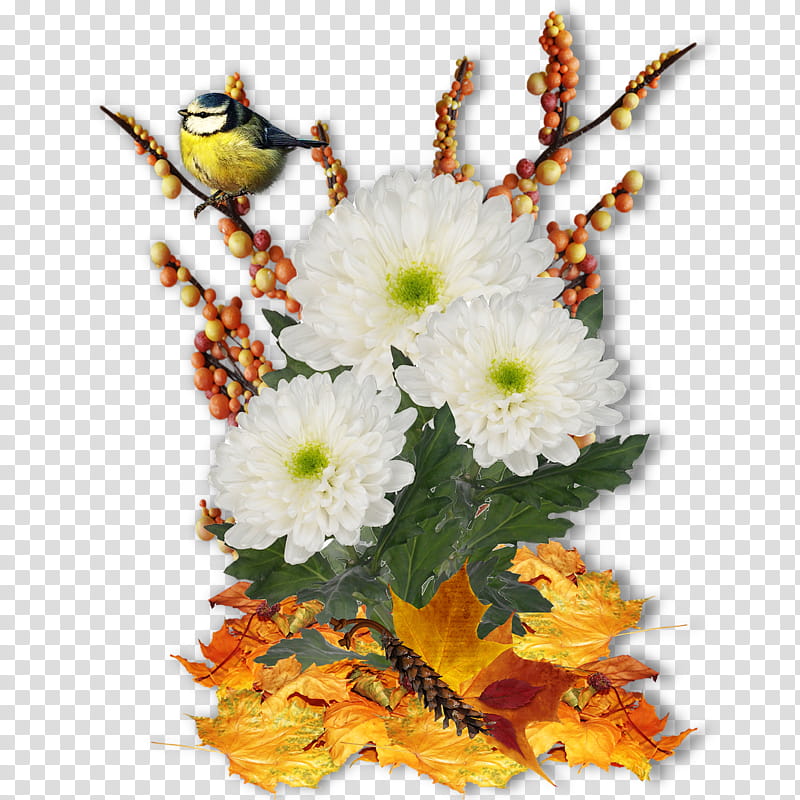 Flowers, Floral Design, Flower Bouquet, Autumn, Cut Flowers, Petal, Flower Arranging, Floristry transparent background PNG clipart