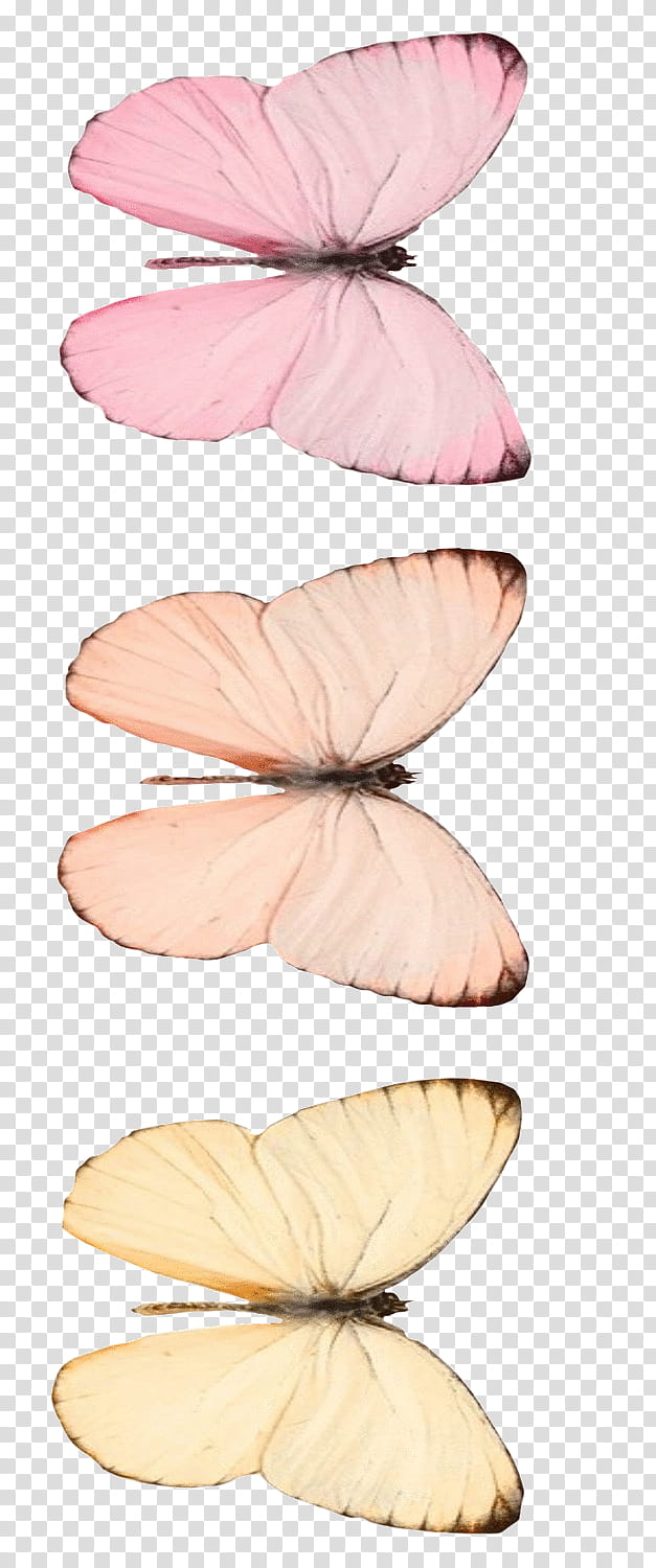 RNDOM, three assorted-color butterflies transparent background PNG clipart