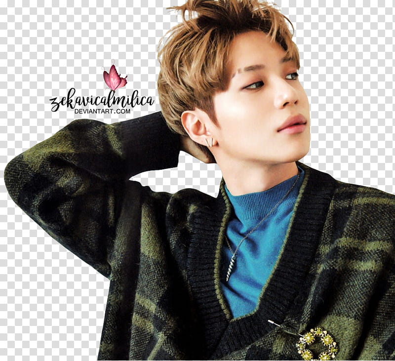 SHINee Taemin  Season Greetings transparent background PNG clipart