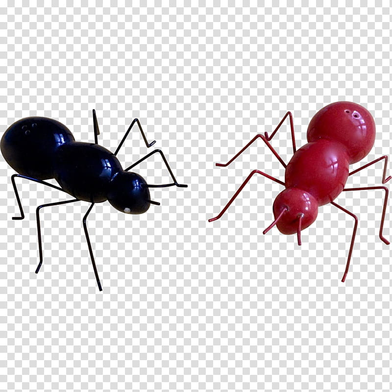Ant, Insect, Membrane, Carpenter Ant, Pest, Membranewinged Insect transparent background PNG clipart
