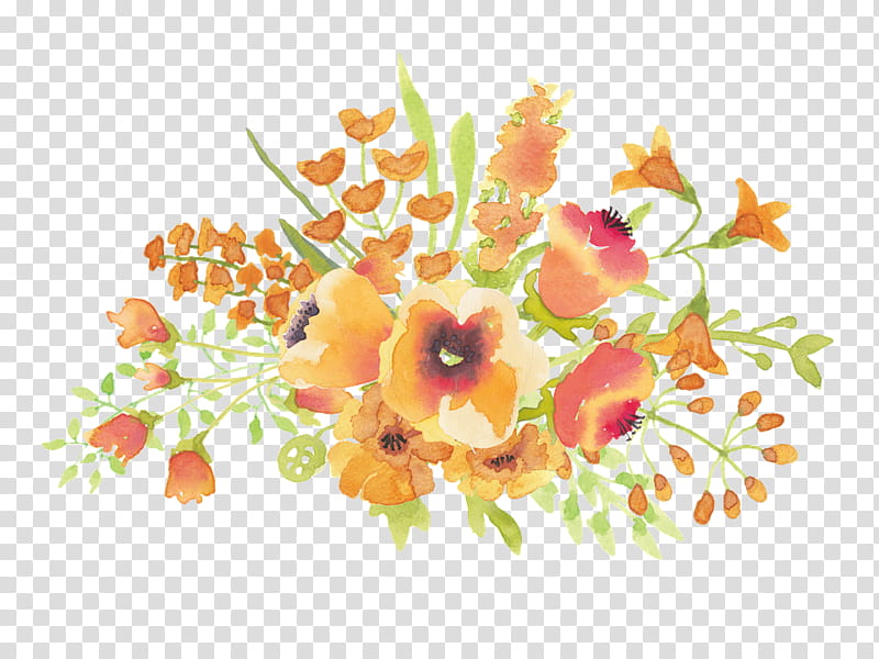 Recursos Watercolor flower S, yellow and white petaled flowers transparent background PNG clipart