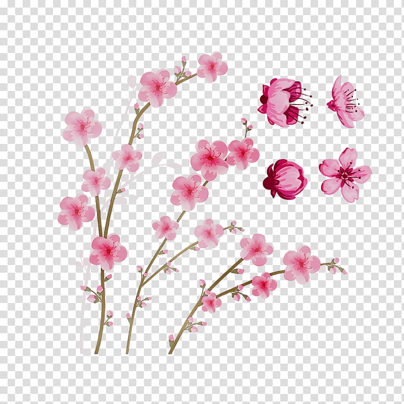 Floral Spring Flowers, Moth Orchids, Floral Design, Cut Flowers, Rose Family, Blossom, Stau150 Minvuncnr Ad, Artificial Flower transparent background PNG clipart