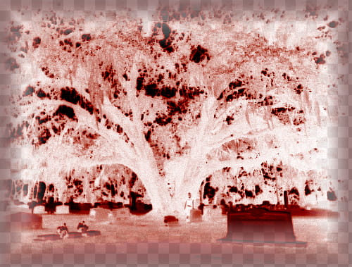 hell&#;s cemetary: blood-stained transparent background PNG clipart