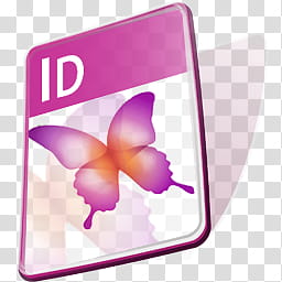 Flash Live Adobe Creative Suit, IDF transparent background PNG clipart