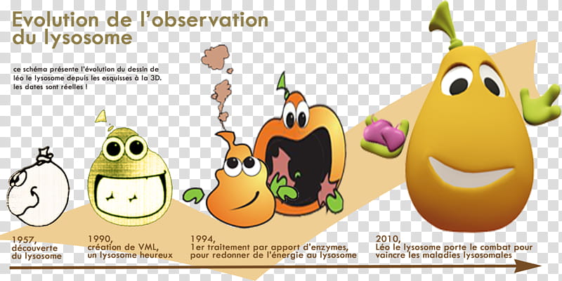 lysosome clipart