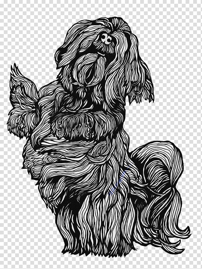 Dog Drawing, Affenpinscher, Artists Portfolio, Havanese Dog, Visual Arts, Line Art, Cartoon, Career Portfolio transparent background PNG clipart