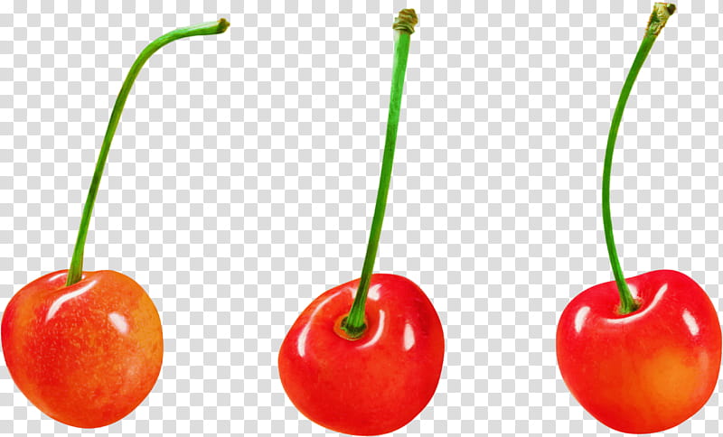 natural foods cherry fruit plant food, Drupe, Acerola Family, Accessory Fruit transparent background PNG clipart