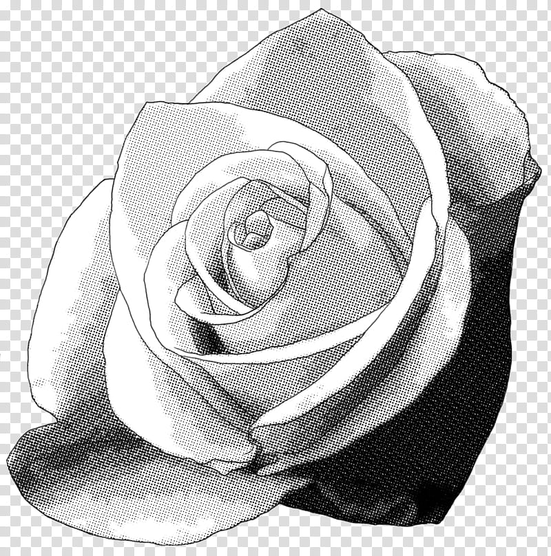 Rose Screentone , white and black rose art transparent background PNG clipart