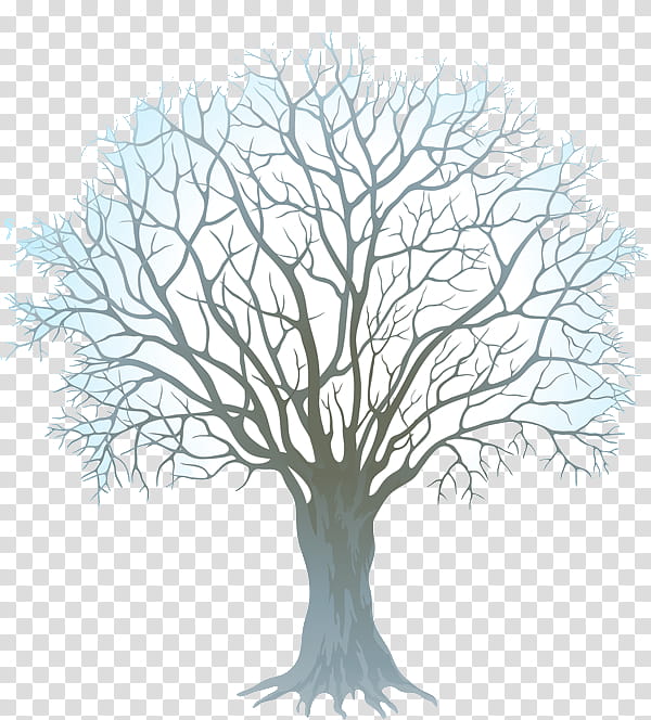 Tree Trunk Drawing, Branch, Christian , Winter
, Plant, Woody Plant, Leaf, Twig transparent background PNG clipart