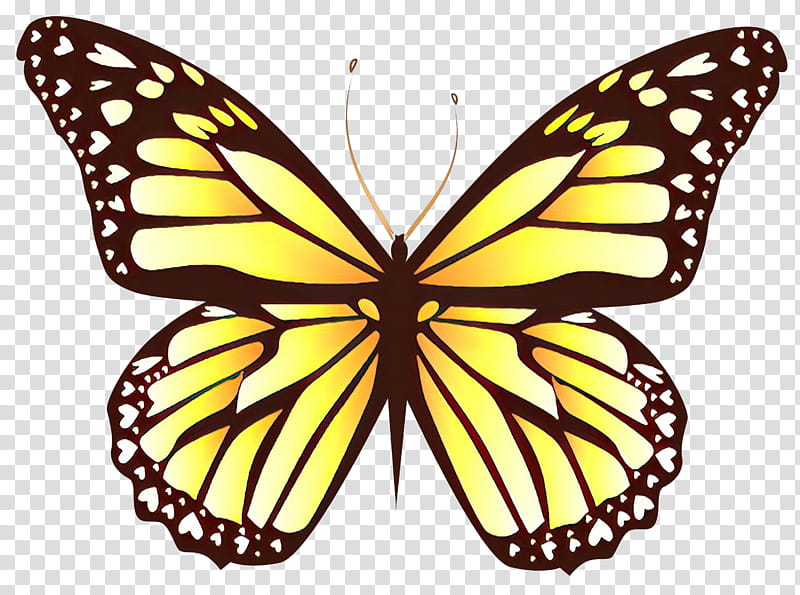 Monarch Butterfly Drawing, Morpho Amathonte, Yellow, Silhouette, Menelaus Blue Morpho, Moths And Butterflies, Cynthia Subgenus, Insect transparent background PNG clipart