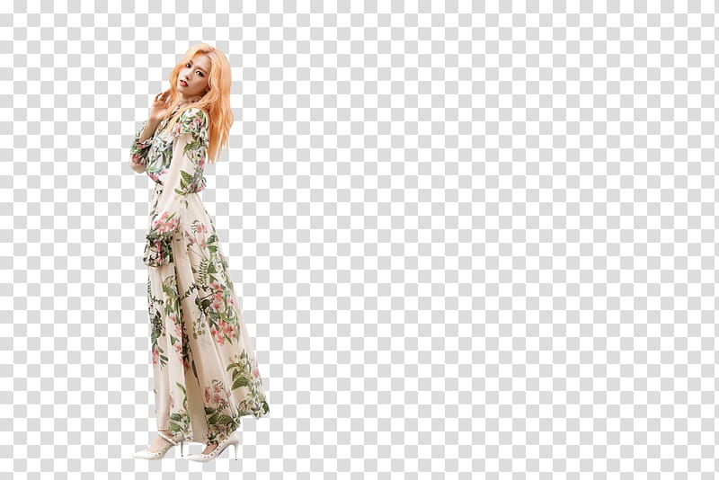 SONAMOO transparent background PNG clipart