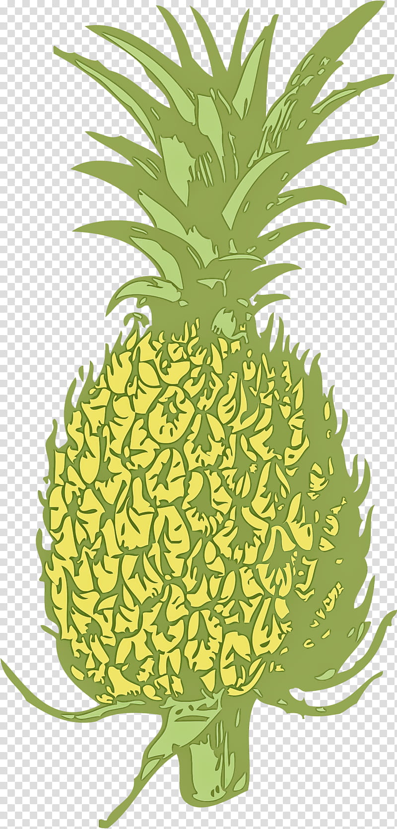 Pineapple, Ananas, Fruit, Plant, Yellow, Food transparent background PNG clipart